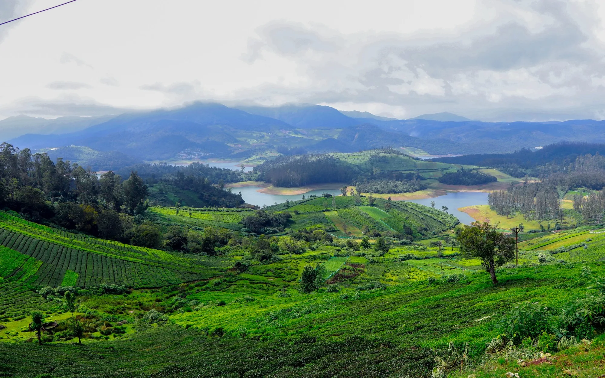 Ooty: hairpins the whole way up