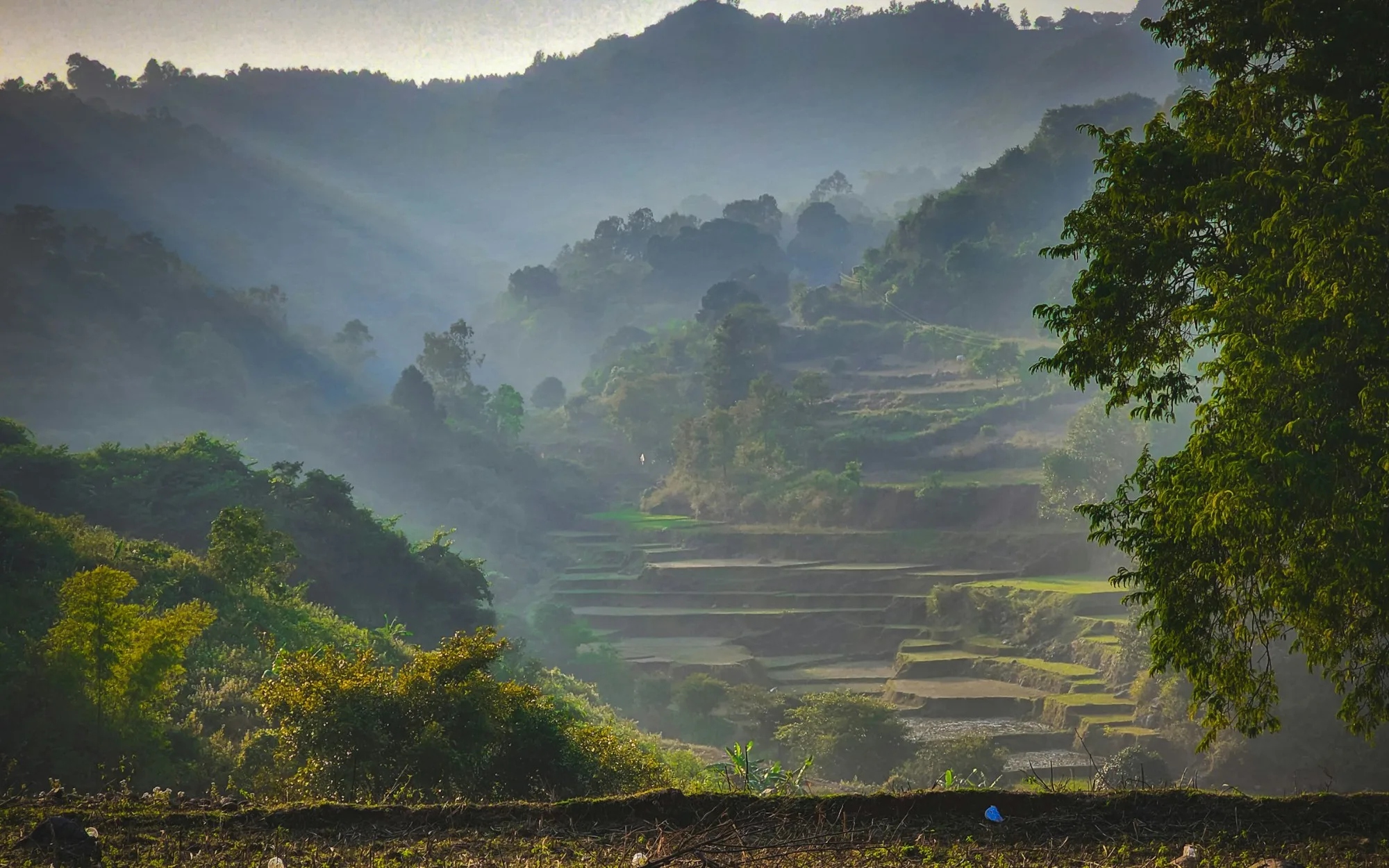Araku Valley: the ghat road up