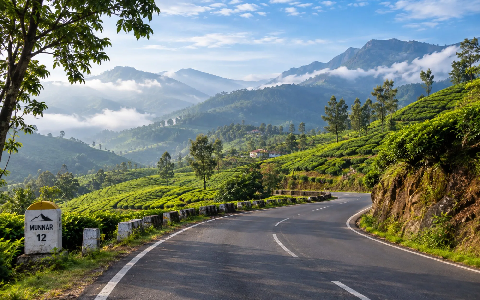 Munnar: a climb through tea hills